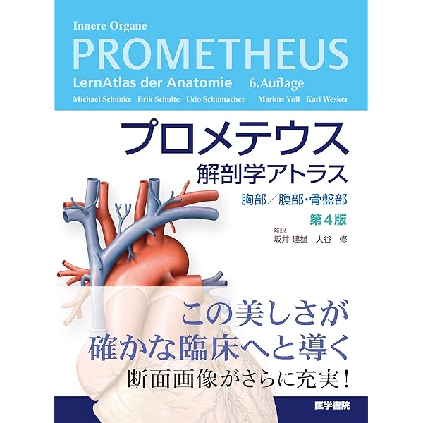 プロメテウス解剖学アトラス 胸部/腹部・骨盤部
